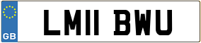 Truck License Plate